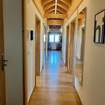 Apartment Bachfischer *