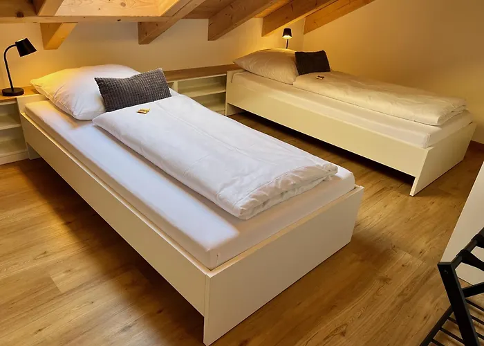 Bachfischer * Ρέγκενσμπουργκ