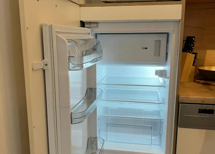 Bachfischer Ρέγκενσμπουργκ