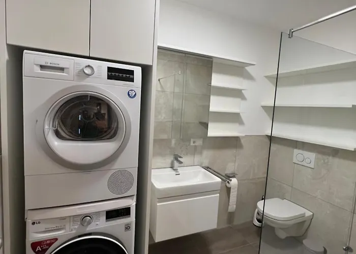 Διαμέρισμα Bachfischer *