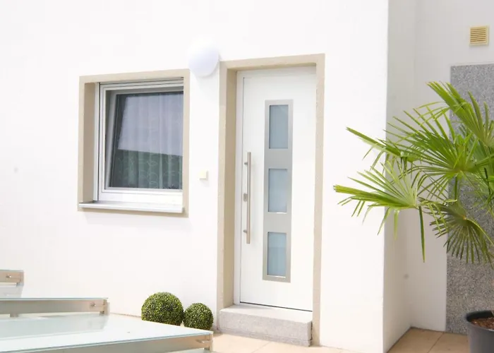 Bachfischer Regensburg