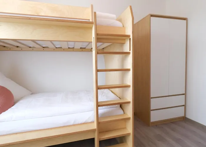 Bachfischer Regensburg