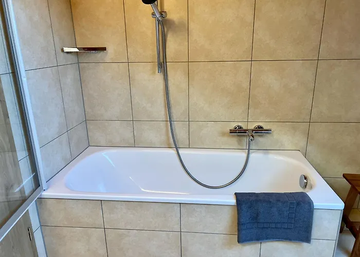 Bachfischer Regensburg