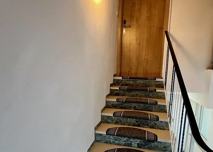 Apartment Bachfischer *